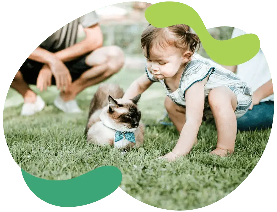 kreditkort utan valutap&aring;slag