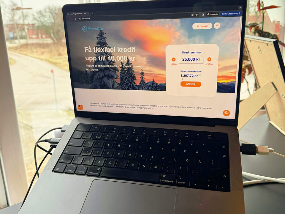 Datorskärm från undersökning av Ferratum